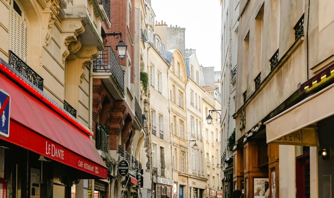 pexels-shvets-2574631 (1)